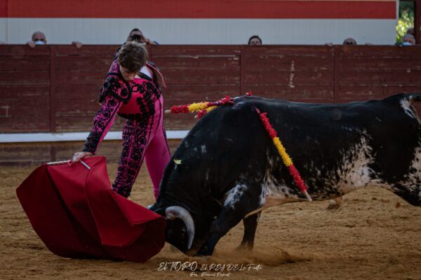 Jesús García, un regreso a la Tauromaquia más pura, clásica y completa, por Patricia Prudencio