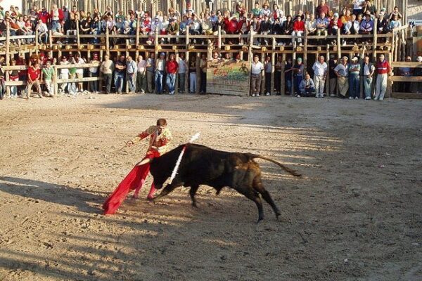 La tauromaquia es del pueblo y al pueblo hay que llevarla, por David Bustos