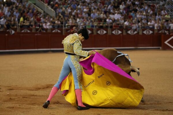 Tres novilleros, tres ilusiones. Por Noelia Crespo