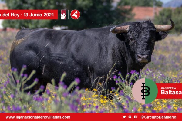 Guerrero y Carpintero-Baltasar Iban, duelo del Circuito de Madrid en Navas del Rey