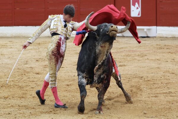 Romper los esquemas y abrir camino, por David Bustos