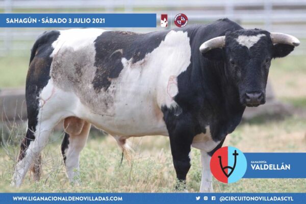 Los de Valdellán y Montalvo para la primera semifinal del Circuito de Castilla y León