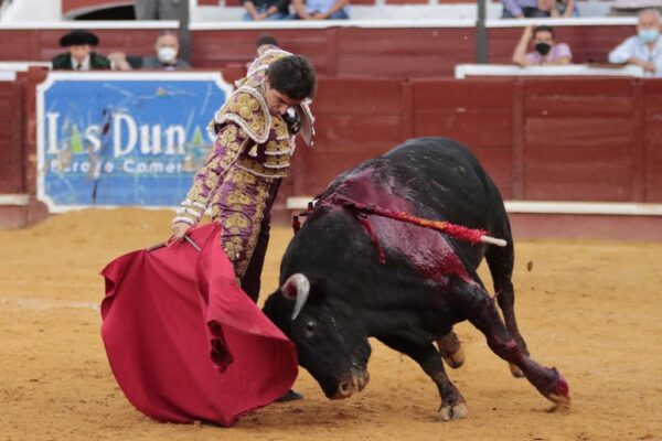 Pablo Páez, El Parralejo y los caprichos de la suerte por David Jaramillo