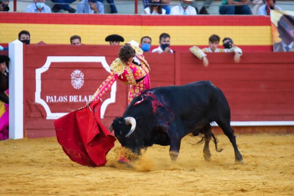 Jorge Martínez, más allá del Circuito , por David Jaramillo