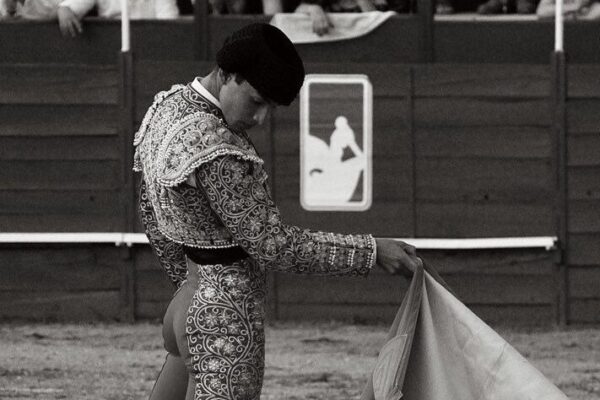 Borja Collado, el novillero de la juventud. Por Marta Barrantes