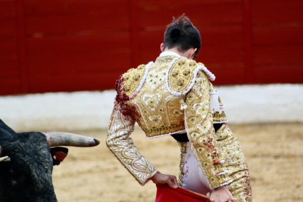 Debutantes y semifinalistas por méritos propios, por Noelia Crespo