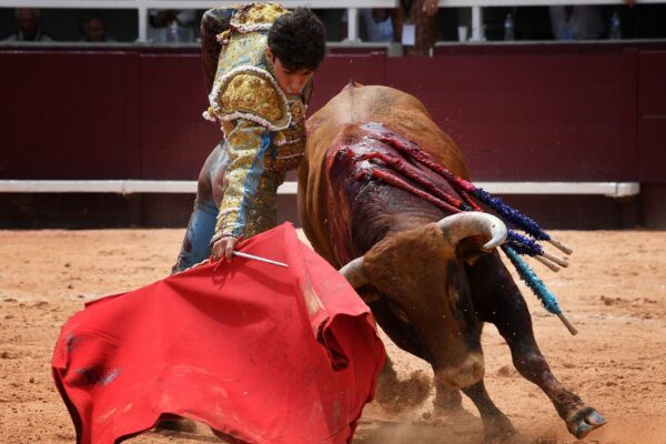 Manuel Perera, verdad que se paga con sangre por David Jaramillo