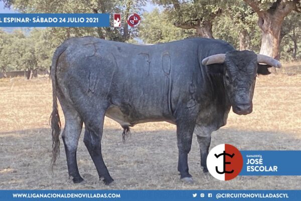 José Escolar y Pedraza de Yeltes para la gran final del Circuito de Castilla y León