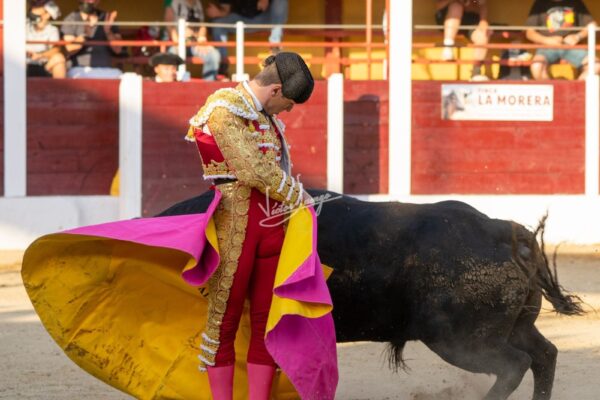 Alejandro Mora cautiva con su naturalidad, por Patricia Prudencio