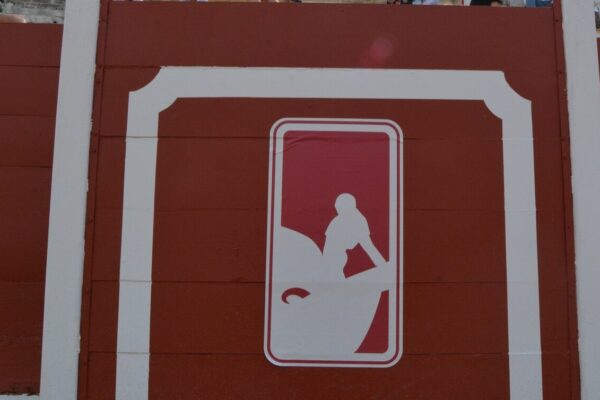 La Final de la Liga Nacional de Novilladas