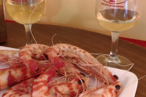 ¿Qué comer en Sanlúcar de Barrameda?