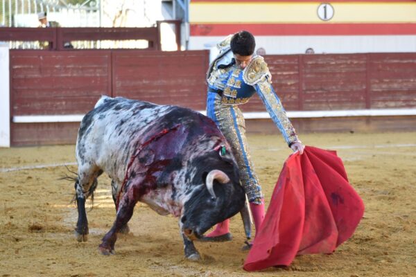 Dos orejas en la segunda novillada del Circuito de Madrid 2022