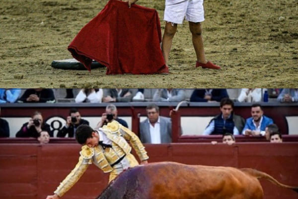 Un sueño hecho realidad