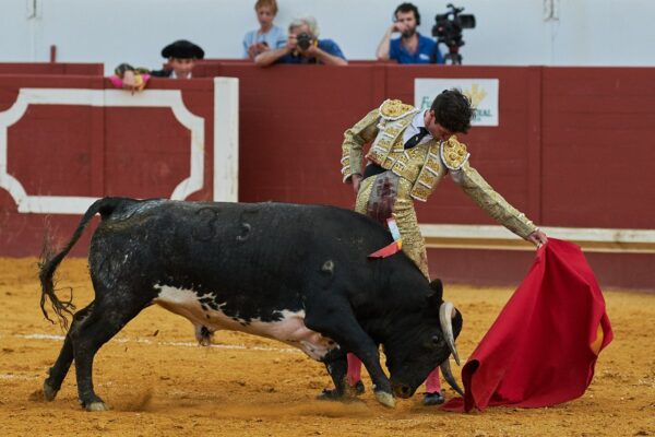 Jesús Cuesta con tres orejas y Marcos Linares con dos, salen en hombros de Utrera