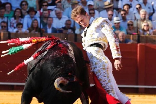 Calerito corta una oreja en una alternativa soñada