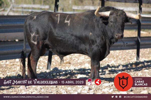 Los novillos de Caras Blancas y El Uno para la tercera clasificatoria del Circuito de Madrid
