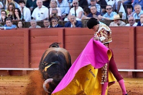 Marcos Linares sufre una grave cornada y se proclama triunfador del Circuito de Andalucía