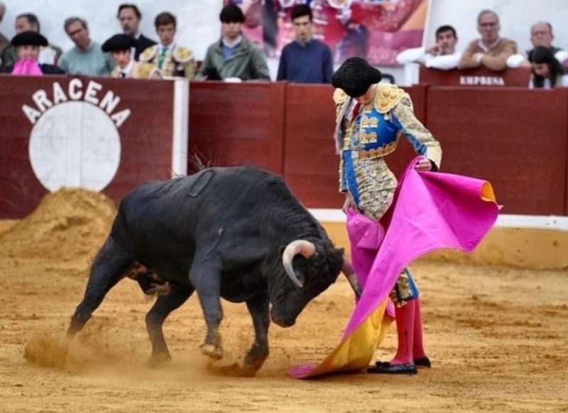 Abierto el voto del público de Aracena