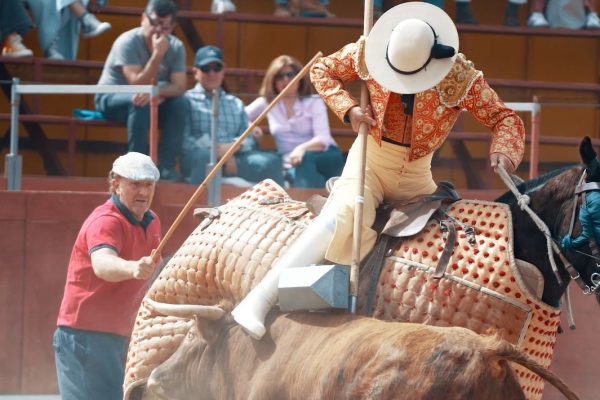 Los premios de las cuadrillas en Estremera