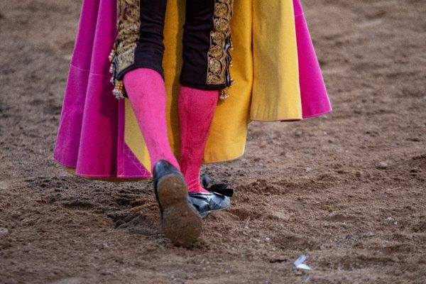 Abierto el plazo de inscripción para novilleros y empresarios del Circuito de Castilla y León 2024