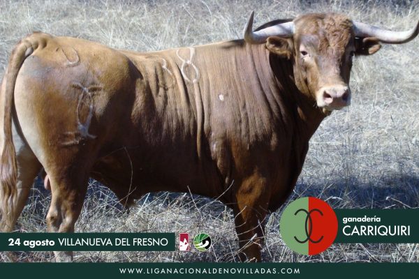 Los novillos de Carriquiri para la gran final de Extremadura