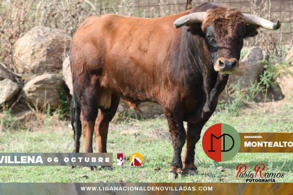 Novillos de Victoriano del Río y Montealto para la gran final del Circuito Valenciano