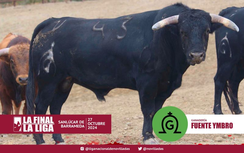 «Harpío», de Fuente Ymbro, abrirá la gran final en Sanlúcar