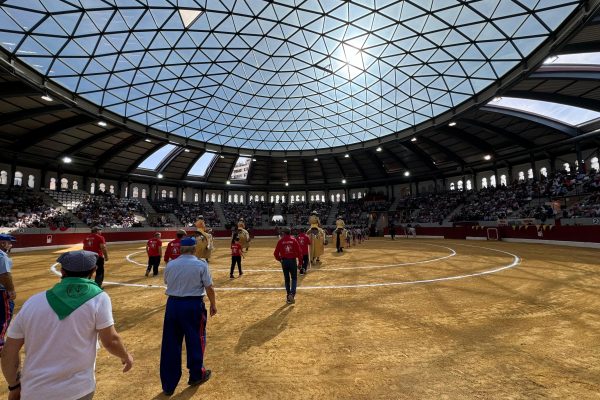 125 festejos confirman la apuesta de la Fundación Toro de Lidia por la Liga Nacional de Novilladas