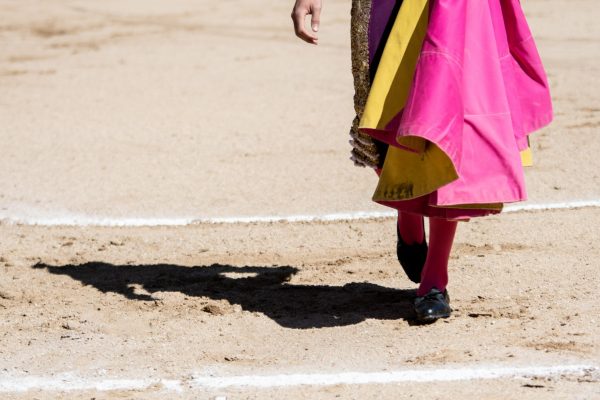 El Circuito de Andalucía busca novilleros para la edición de 2025