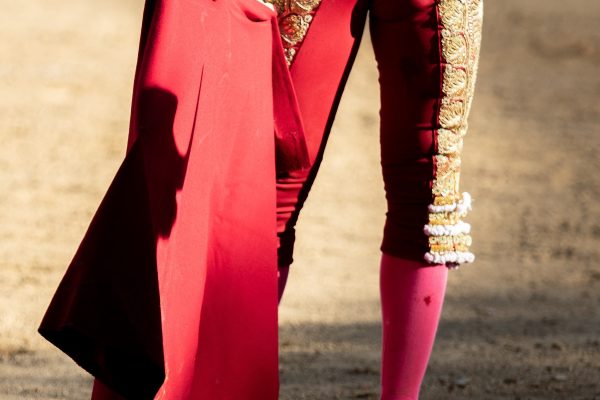 La importancia del Circuito de Novilladas de Andalucía