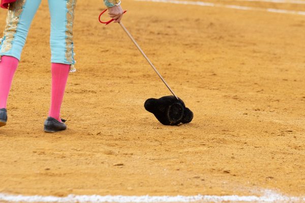 Cinco días para que la temporada eche a rodar en Valdemorillo