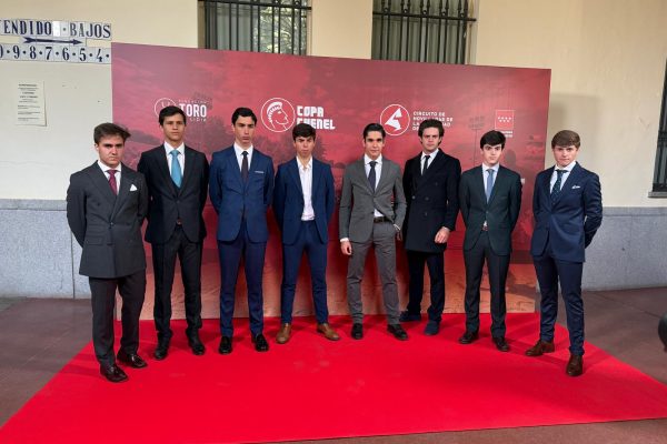 Un desafío de alto voltaje con final en San Martín de Valdeiglesias