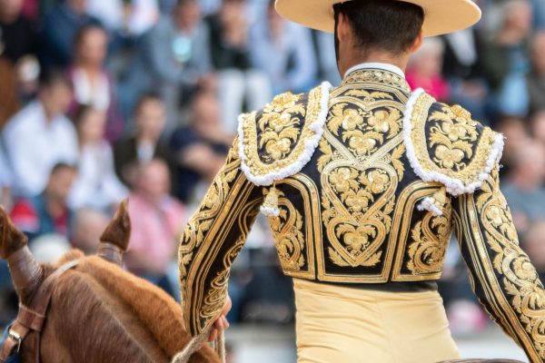 Los más veteranos con picadores del bolsín de Castilla y León 2025