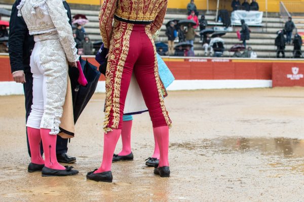 Quedan aplazados los festejos de San Martín de Valdeiglesias y Navas del Rey para este fin de semana