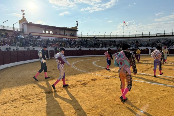 El Circuito de Novilladas de Castilla y León 2025 ya tiene sedes