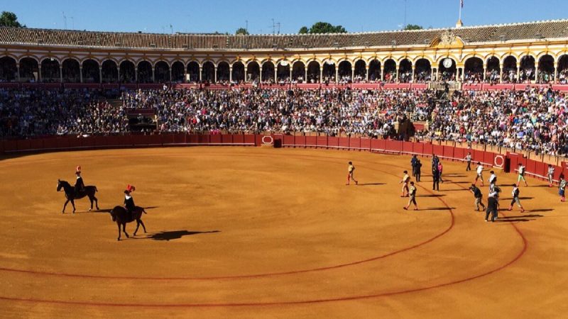 Cuenta atrás para la final del Circuito de Andalucía