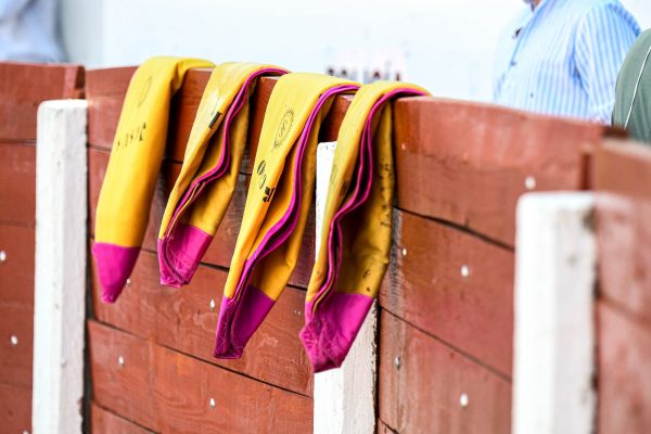 Así será el sistema de clasificación del Circuito Valenciano de Novilladas 2025 de cara a las semifinales