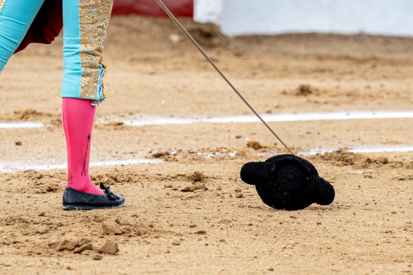 Finaliza la fase clasificatoria del Circuito de Castilla y León con tres intensas novilladas
