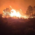 El fuego arrasa parte de las fincas de Jandilla