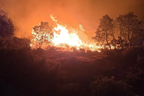 El fuego arrasa parte de las fincas de Jandilla