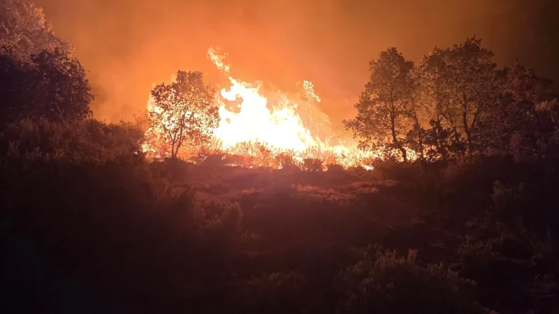 El fuego arrasa parte de las fincas de Jandilla