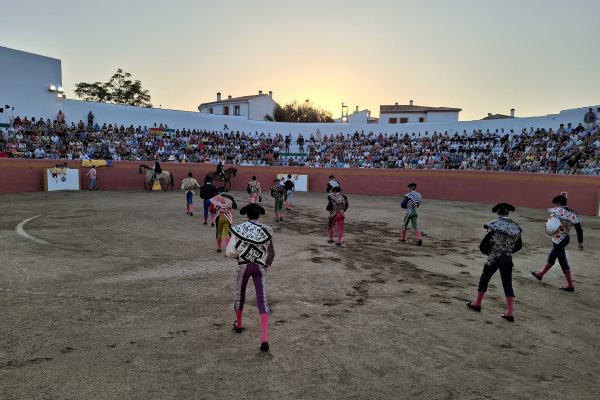 La Fundación Toro de Lidia recupera los toros en Alcántara 30 años después