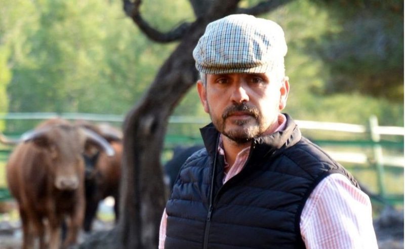 Daniel Ramos: «lidiar en la final del Circuito Valenciano es un hito histórico para nuestra ganadería”