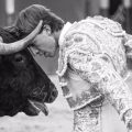 Julio Norte triunfa en Arganda del Rey y se postula para la «Vid de Oro»