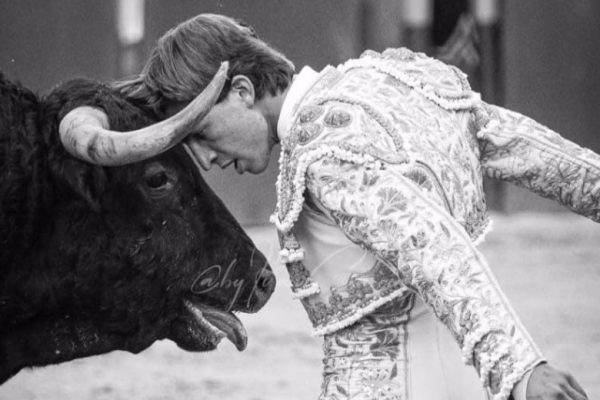 Julio Norte triunfa en Arganda del Rey y se postula para la «Vid de Oro»