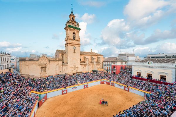El Circuito Valenciano de Novilladas 2025 hace posible la celebración completa de la Feria de Algemesí