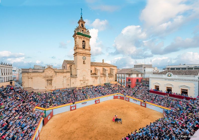 El Circuito Valenciano de Novilladas 2025 hace posible la celebración completa de la Feria de Algemesí