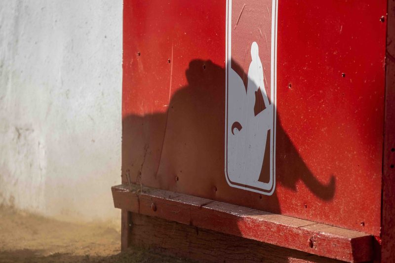 Algo está pasando con las novilladas…  y los datos lo confirman