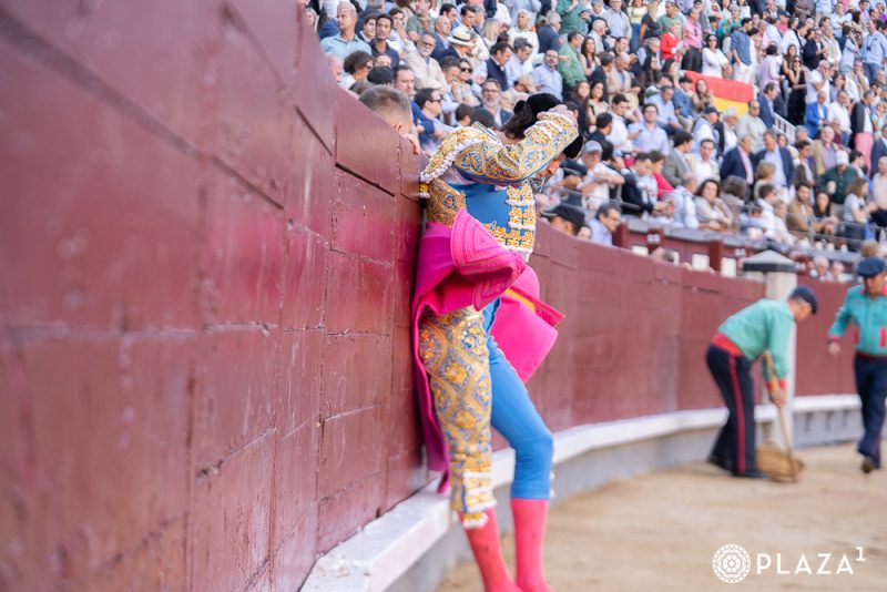 San Isidro 2026, un escaparate propicio para quienes se lo ganaron en la Liga Nacional de Novilladas