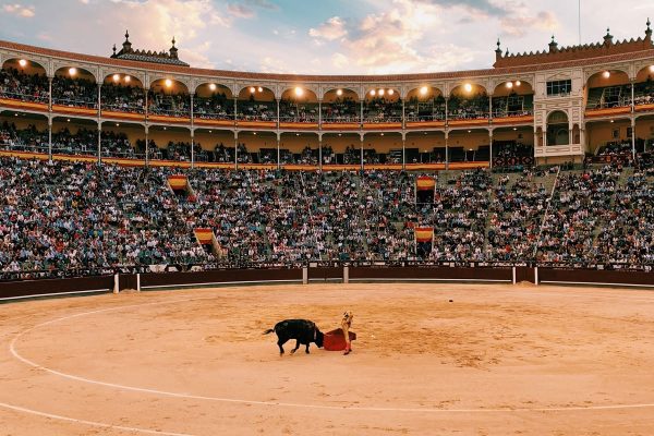 Tres novilleros de la Liga Nacional de Novilladas en la Feria de la Comunidad